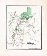 Sudbury 3, Middlesex County 1889